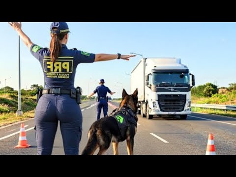 Видео: ӘЙЕЛ ПОЛИЦЕЙ ДАЛЬНОБОЙЩИКТІ ТОҚТАТТЫ… БІРАҚ ОНЫҢ ҚЫЗМЕТТІК ИТІ СЕНУГЕ БОЛМАЙТЫН НӘРСЕНІ ТАПТЫ