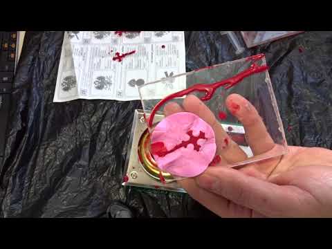 Видео: Тиражирование восковок #корсун