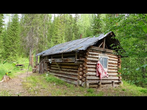 Видео: По рекам Тимана ч3. Лесная изба. Место, где стояла заброшенная деревня. Сплав по реке Ухта. Лось