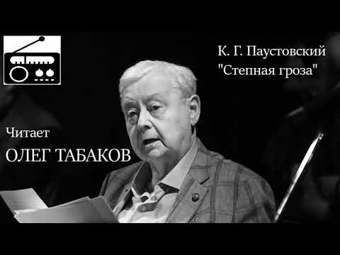 Видео: 📻К. Г. Паустовский. "Степная гроза".