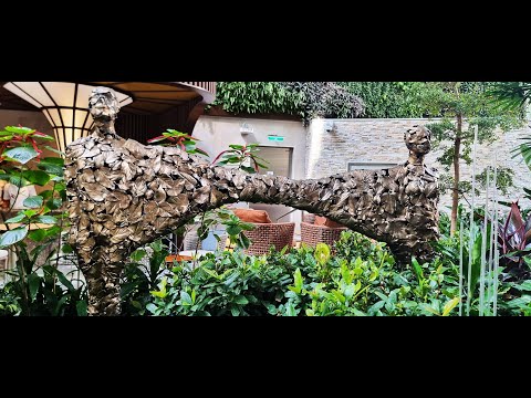 Видео: Дневник круизера.  Глава 1-6. Icon of the seas, день 6