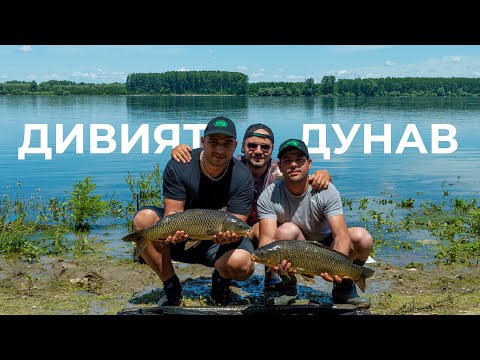 Видео: ДИВО ОТКРИВАНЕ НА ШАРАНДЖИЙСКИЯ СЕЗОН - РЕКА ДУНАВ