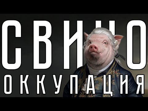 Видео: Свинооккупация Псковской области
