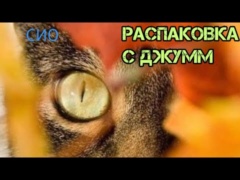 Видео: Распаковка с Джумм в прямом эфире! #сио #распаковка #джумм #кайфули 