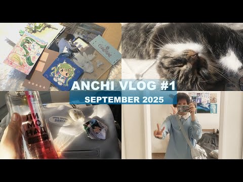 Видео: anchi vlog #1  ||  сентябрь 2025