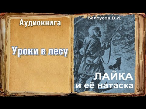 Видео: "Уроки в лесу" "Лайка и её натаска" Белоусов В.И