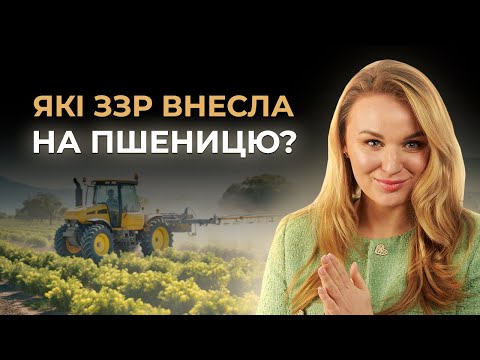 Видео: РОЗКРИВАЮ СЕКРЕТ: ЯКІ ПРЕПАРАТИ ВНЕСТИ НА ПШЕНИЦЮ?