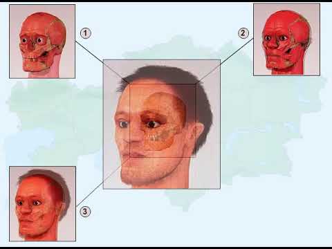 Видео: 5 класс. История Казахстана. "Антропологический облик древних людей"