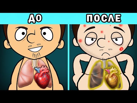 Видео: Что если есть только ЧИПСЫ?