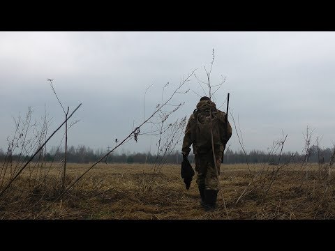 Видео: Охота на тетеревов на току от А до Я | Часть 2 – Трудовой трофей | Весна 2018