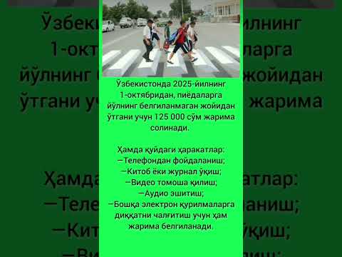 Видео: 5 ноября 2025 г.