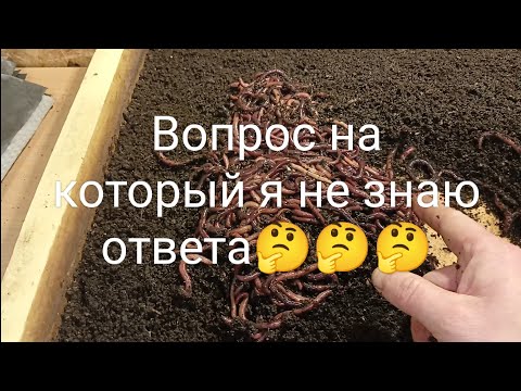 Видео: Вопрос про торф с опилками?