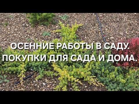 Видео: ОСЕННИЕ РАБОТЫ В САДУ. 🌿 ПОКУПКИ ДЛЯ САДА И ДОМА.🌈