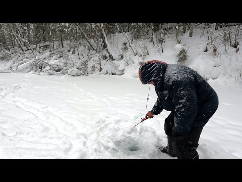 Видео: С Григоричем на таёжной  речке \ Рыбалка на ХАРИУСА \ Часть 3 \ Самый лучший день