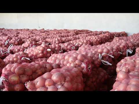 Видео: Истаравшан рушди сохаи кишоварзи