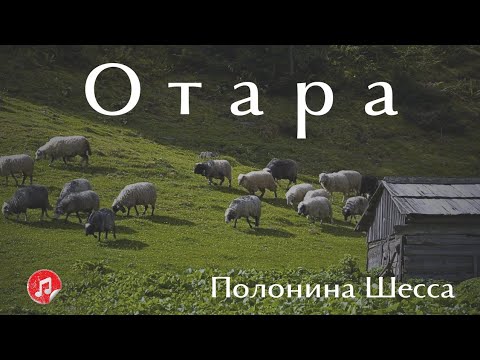 Видео: Магія полонини Шесса: серед старих колиб і овець. Вересень '23