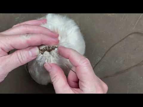 Видео: Вышиваем носик для медведя Тедди