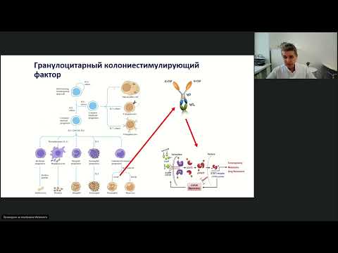 Видео: Поддерживающая терапия в онкологии (онлайн-школа 9 декабря 2021)