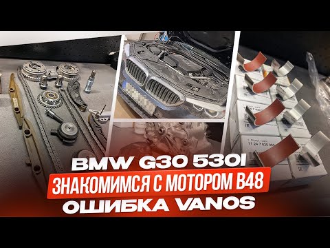 Видео: BMW G30 530I Знакомимся с Бензиновым мотором B48. Замена цепей вкладышей. Ошибка Vanos 130716 130715