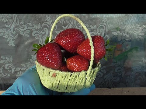 Видео: СКАЛА -  поздний сорт клубники. Красив, урожаен и вкусен.