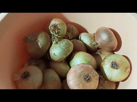 Видео: Соус с базиликом на зиму