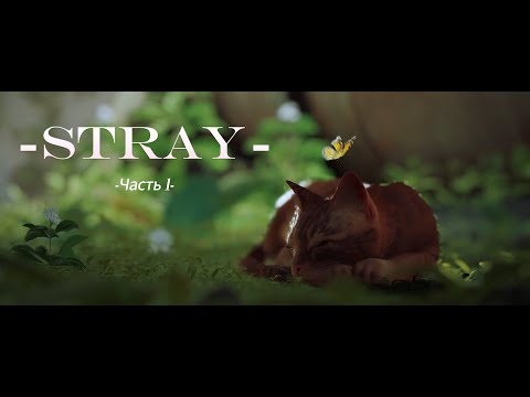 Видео: Stray | Жуки слишком опасны... #1