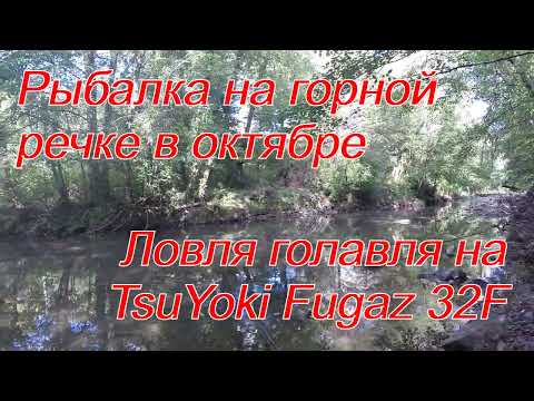 Видео: Рыбалка на горной речке в октябре.  Ловля голавля на TsuYoki Fugaz 32F.