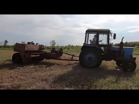 Видео: Тюкую сено. МТЗ-80 + пресс-подборщик "Киргизстан".