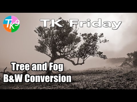 Видео: TK Пятница: Дерево и туман — TK Панель оттенков серого. Преобразование в черно-белое изображение:...