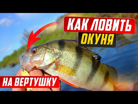 Видео: Окунь на вертушку, щука на вертушку, ловля окуня на спиннинг.