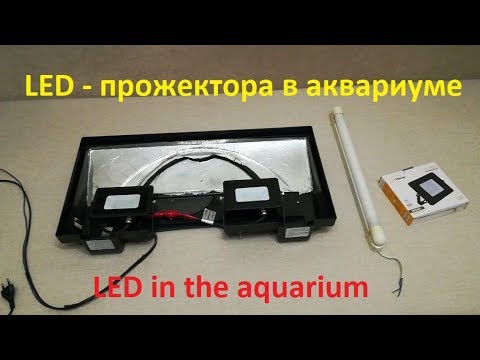 Видео: LED - прожектор в аквариуме-травнике. LED in the aquarium