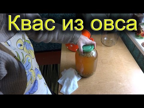 Видео: Домашний квас из овса