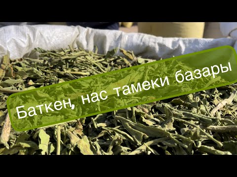 Видео: #Баткен: Нас тамеки базары 08.10.2022