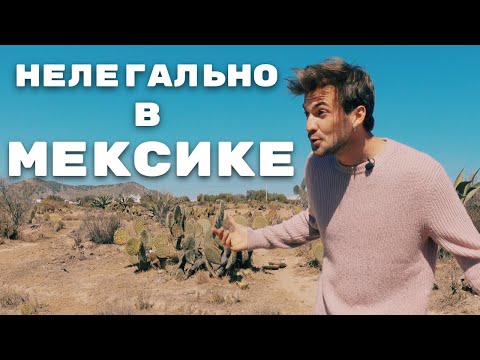 Видео: ВЫГОНЯЮТ ИЗ СТРАНЫ / ИЩУ ЖЕНУ МЕКСИКАНКУ.