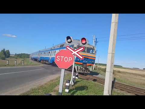 Видео: Сборник Лето -Осень