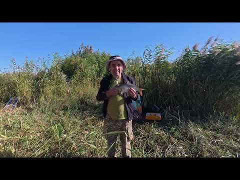 Видео: Не плохая рыбалка на протоке Кыдырбай 10-14.09.2025