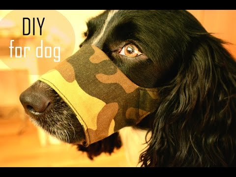 Видео: Как сделать выкройку намордника? Как сшить намордник?