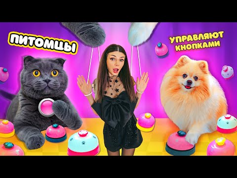 Видео: КОШКА БАТТЕРС и СОБАЧКА ЭЛИС УПРАВЛЯЮТ МОИМ ДНЕМ С ПОМОЩЬЮ КНОПОК * 100 КНОПОК ЧЕЛЛЕНДЖ