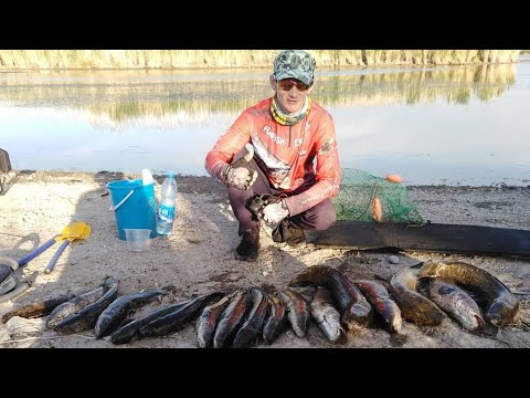 Видео: Змееголов 2021 Июнь