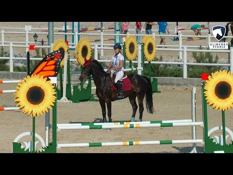 Видео: 100 см. Лошади 4-х лет. Конкур в Днепре. КСК "Klimenko Stable". 17.06.2018 г.