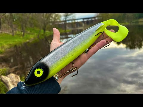 Видео: ГИГАНТСКИЕ ПРИМАНКИ для ловли ОГРОМНОГО МУСКУСНОГО РЫБА!