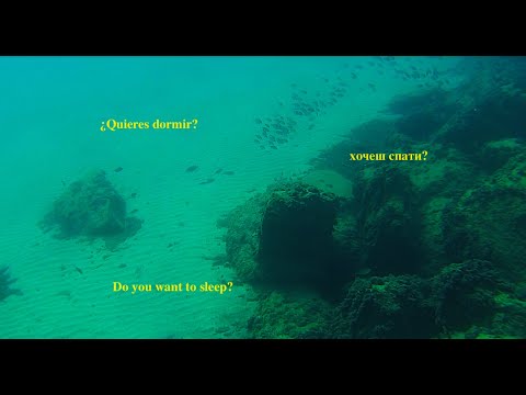 Видео: ¿Quieres dormir?music to sleep!море спокійне в глибині панує тиша і благодать...