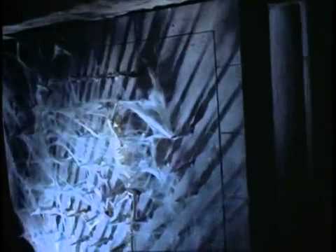 Видео: Зена и Арес   Зараза