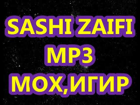 Видео: САШИ ЗАИФИ - МОХИГИР   SASHI ZAIFI MOHIGIR