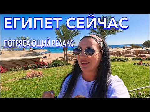 Видео: Египет 2024. ХОРОШИЙ отель НЕДОРОГО‼️Mercure Hotel 4*. ПОГОДА МОРЕ ПИТАНИЕ СЕРВИС. Хургада сейчас