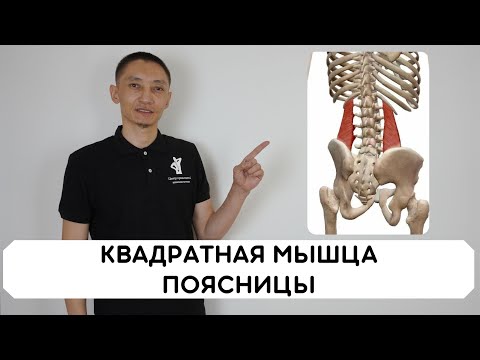 Видео: Квадратная мышца поясницы. Боль в пояснице. Самолечение от А до Я