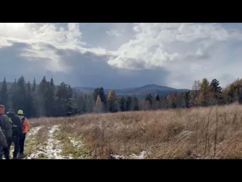 Видео: Последняя видевшая Усольцевых сделала сенсационное заявление я там была
