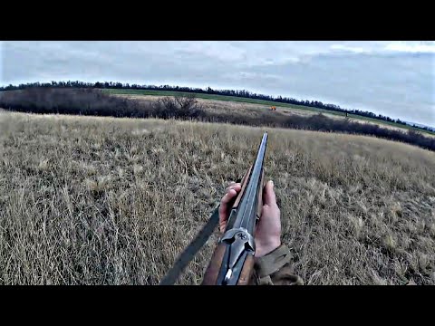 Видео: Охота на ХИТРЫХ лис! Не выходят до последнего.