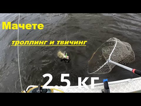 Видео: Топовый воблер от Luremax. Косит щуку и судака на твичинге и троллинге.