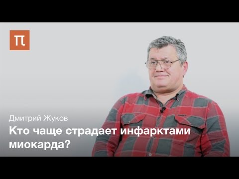Видео: Поведенческие типы человека - Дмитрий Жуков